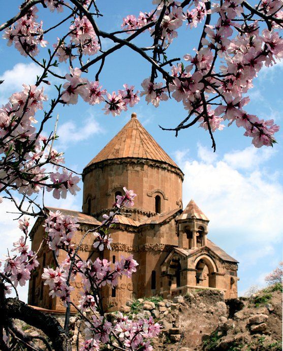 تورهای گرجستان
