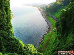 تور های باتومی